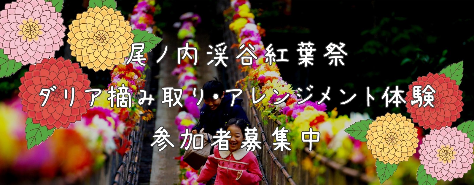 【尾ノ内紅葉祭】ダリア摘み取り・アレンジメント体験（参加者募集中）
