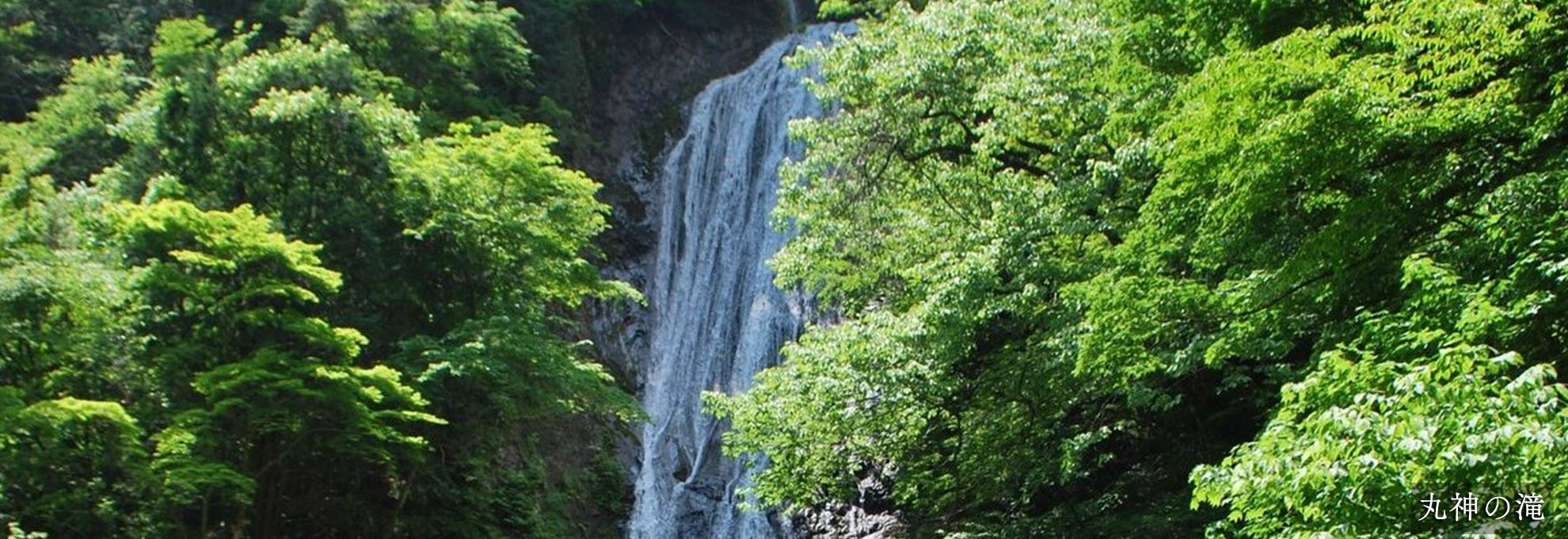 🌼花しょうぶ園の開花状況🌼