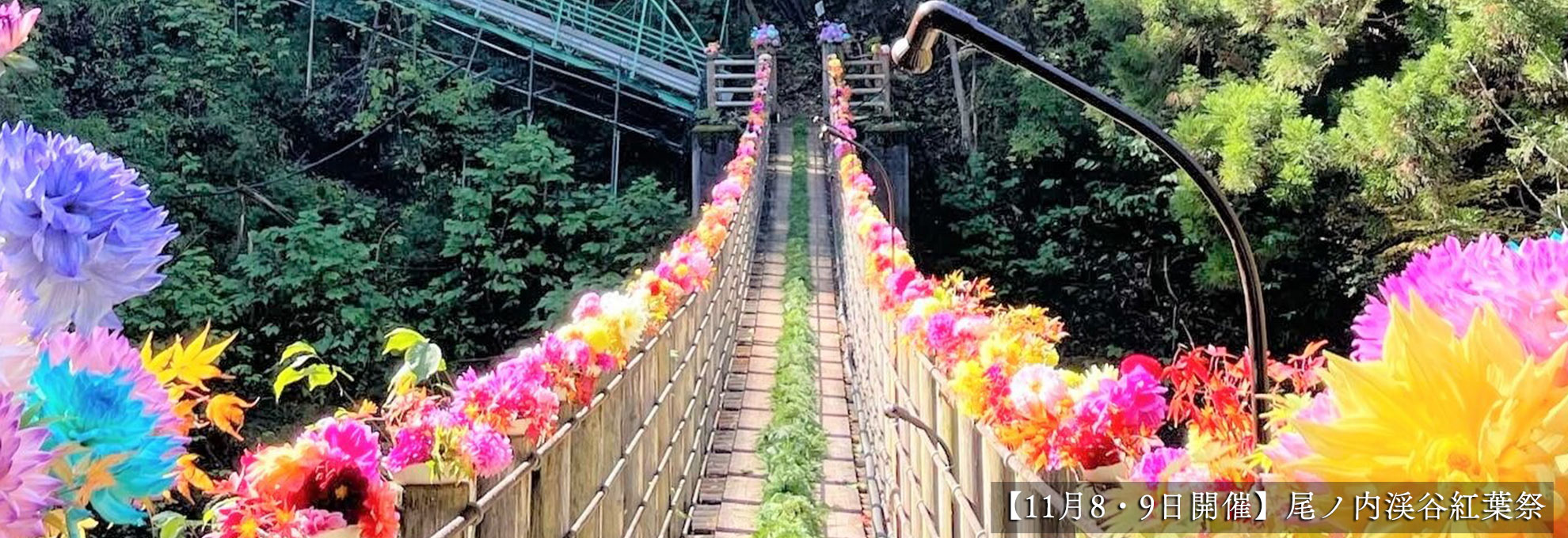 🍁【尾ノ内紅葉祭】ダリア摘み取り・アレンジメント体験🍁