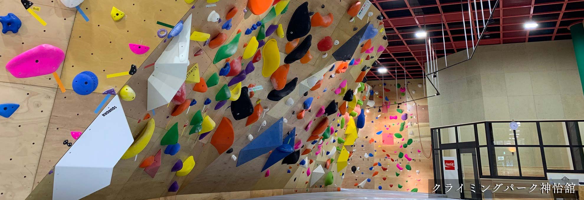 🌸両神山の花情報🌸