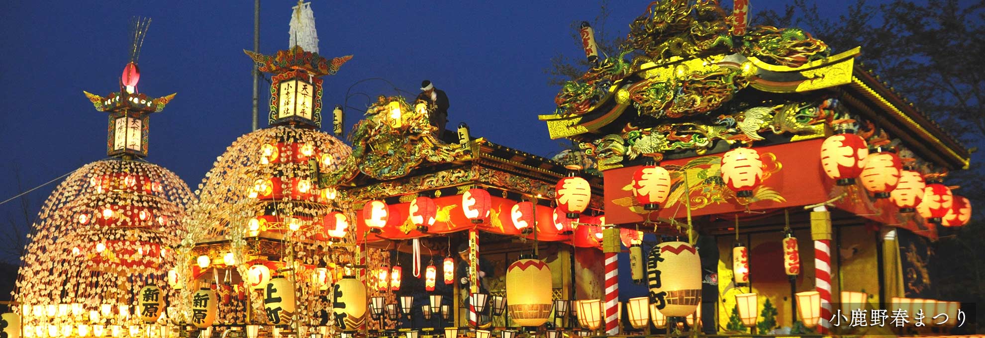 🌸春の花情報🌸