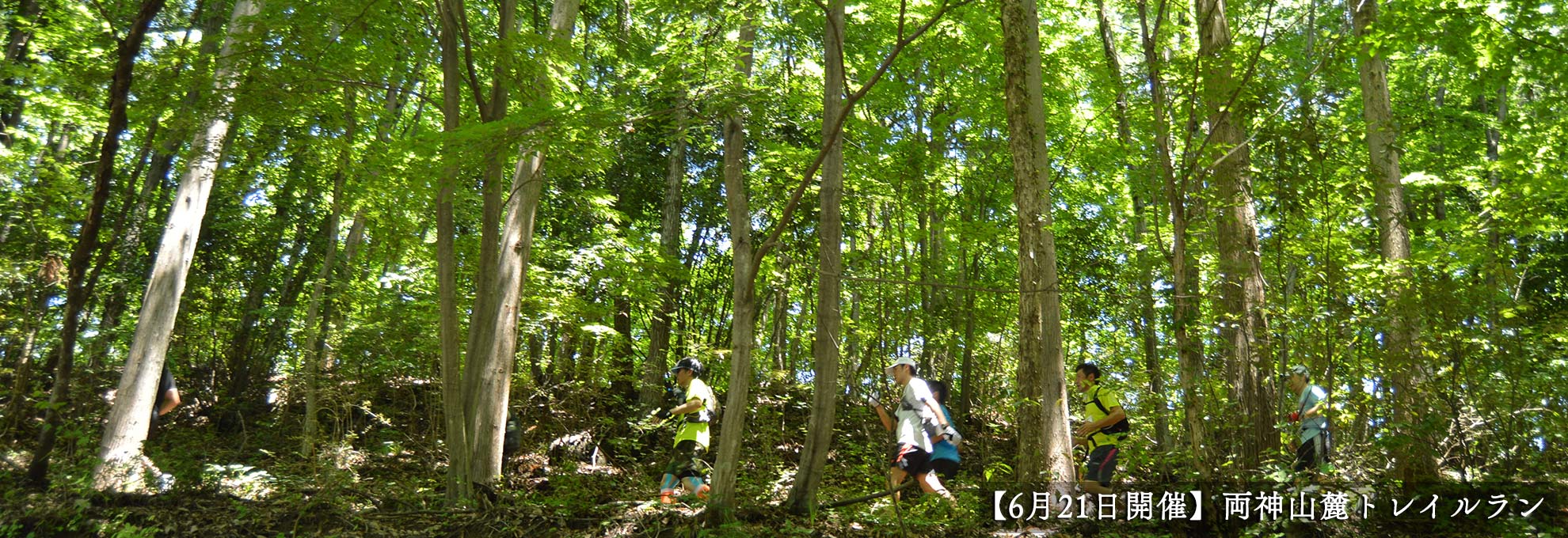 🌳山岳情報🌳