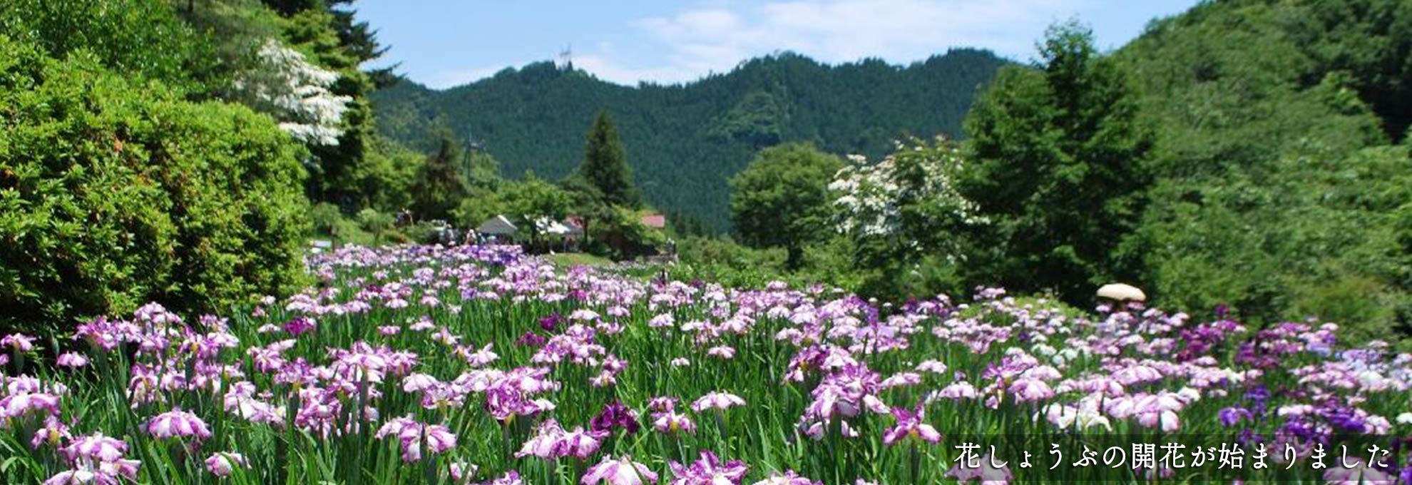 🌳山岳情報🌳